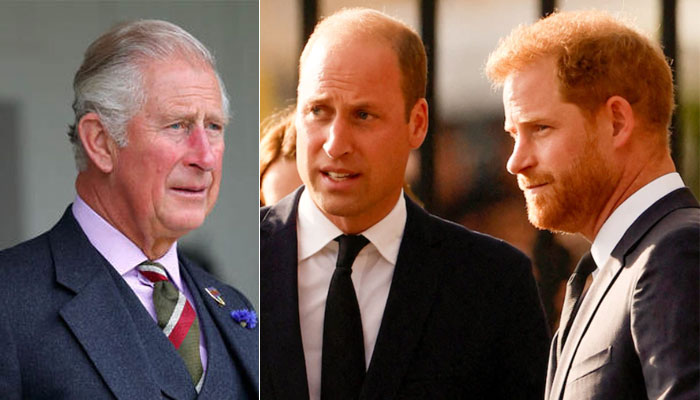 King Charles snubs Prince Harry using Prince William?