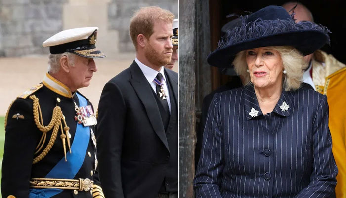 Queen Camilla dubbed major roadblock in Prince Harry, King Charles failed meeting plans