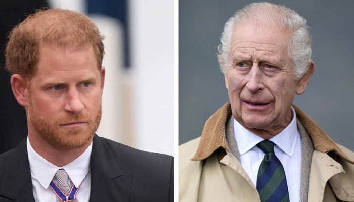 Prince Harry 'sympathized' over King Charles lack of decency to meet him