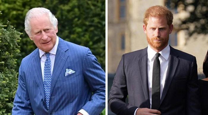 Prince Harry meeting plans with King Charles quashed: ‘Hopes for reunion’ Prince Harry meeting plans with King Charles quashed: ‘Hopes for reunion’