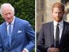 Prince Harry meeting plans with King Charles quashed: ‘Hopes for reunion'