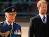 Prince Harry gets sweet advice regarding meeting King Charles