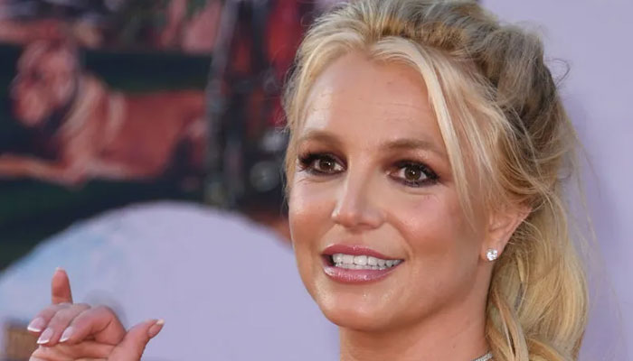 Britney Spears well-wishers sound alarm over her new 'criminal' love