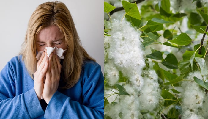 Cure common allergies with easy and natural remedies 