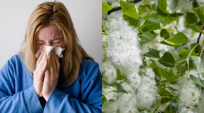 Cure Common Allergies With Easy And Natural Remedies