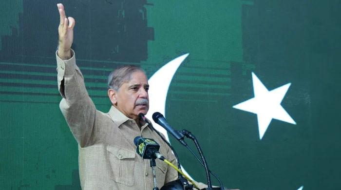 Shehbaz Sharif to continue as acting PML-N president till May 28