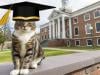 Cat awarded 'Doctor of Litter-ature' degree