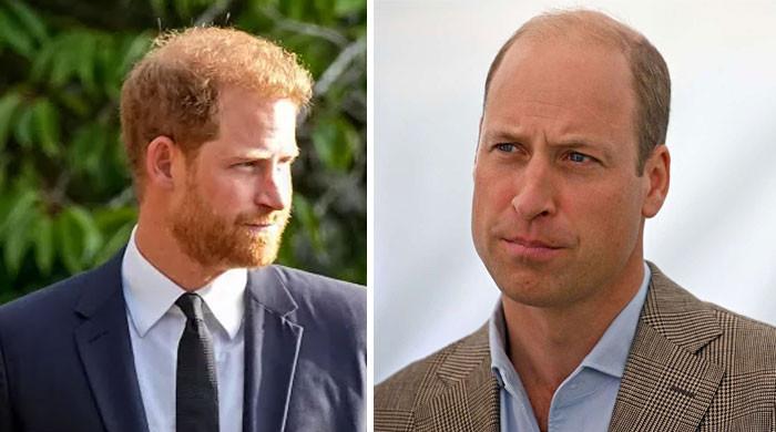 Prince William thinks Prince Harry no longer lives or exists