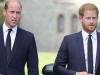 Prince William honoured, Harry snubbed by close friend