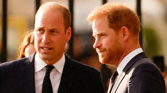 ‘Interesting way&rsquo; Prince Harry gave away William rift