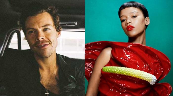 Harry Styles and Taylor Russell split due to THIS reason