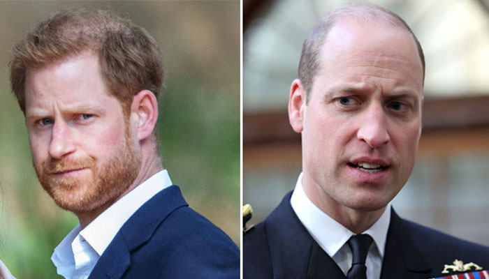 Prince William defended after Prince Harrys two-dimensional horrid allegations