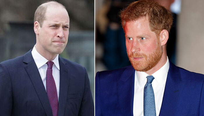Prince Harrys painted world view of William using Netflix series of hurt feelings