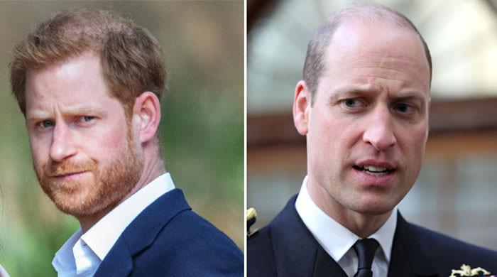 Prince William defended after Prince Harry's two-dimensional horrid allegations - Vimarsana News