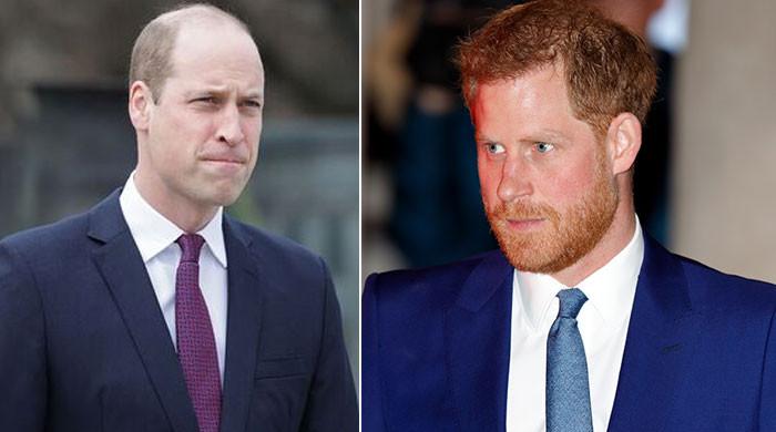 Prince Harry's painted world view of William using Netflix series of hurt feelings - Vimarsana News