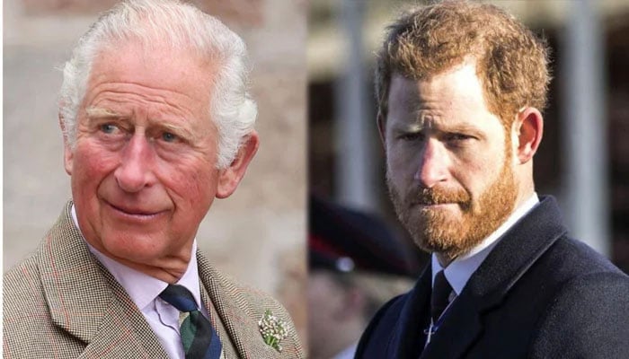 Harrys ‘unpredictable behaviour hurtful for ‘emotionally fragile King Charles