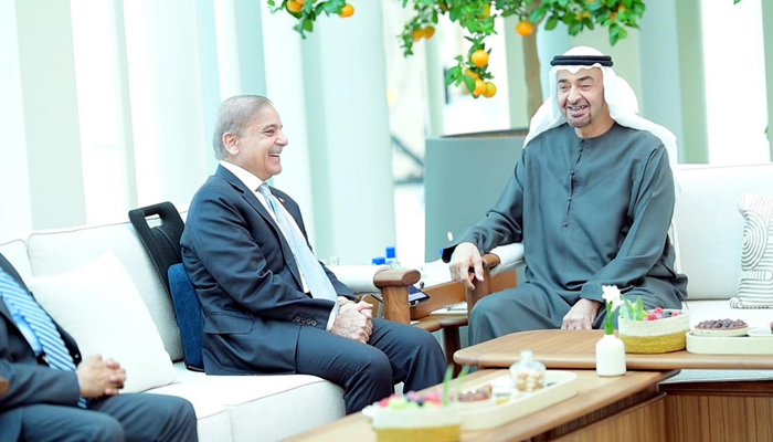 In meeting with PM Shehbaz, UAE president allocates $10bn investment in Pakistan