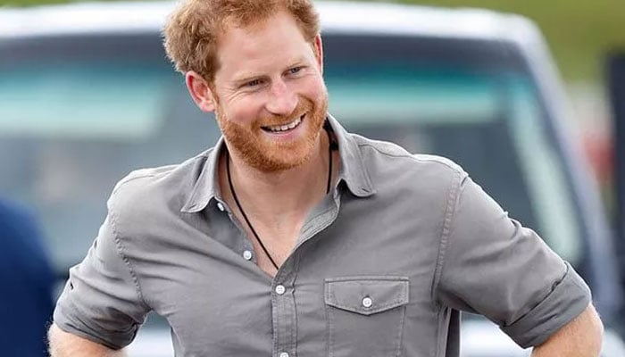 Prince Harrys letting his destructive side lose with ruthless plans