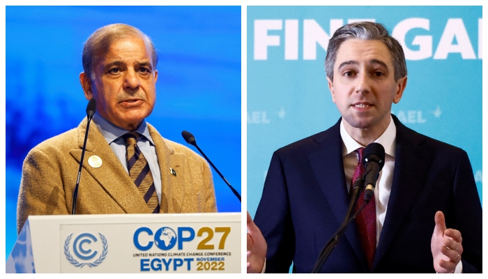In phone call, PM Shehbaz hails Irelands decision to recognise Palestine