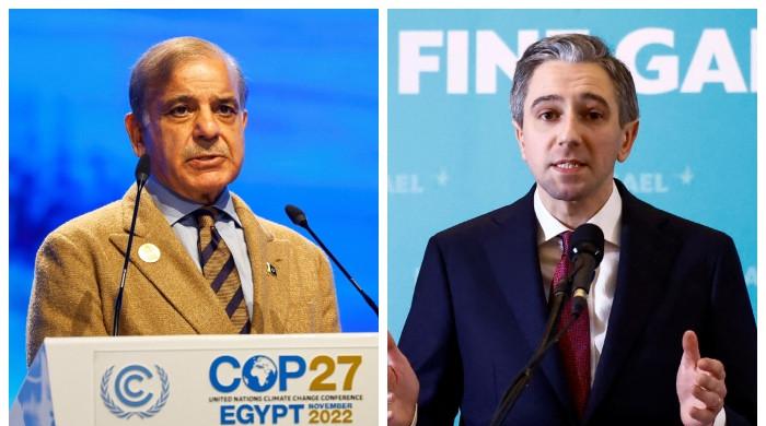 In phone call, PM Shehbaz hails Ireland's decision to recognise Palestine