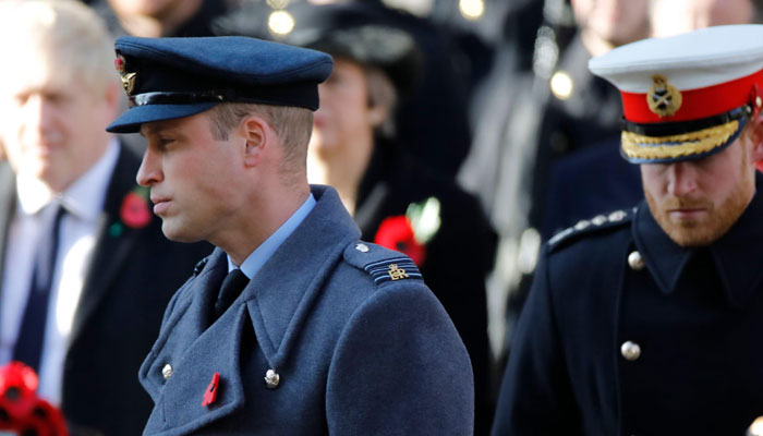 Prince William has no room in his soul to worry over Prince Harry