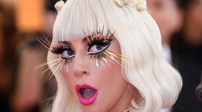 Lady Gaga's 2024 Met Gala dress would have broken internet
