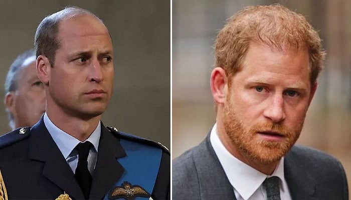 Prince William ‘hates Prince Harrys popularity