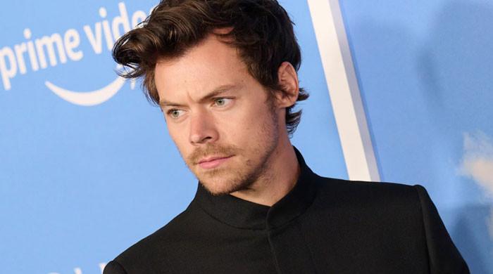 Harry Styles fears commitment?