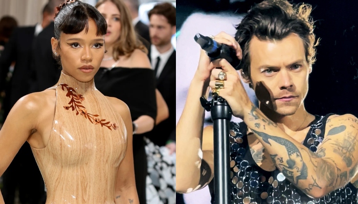 Harry Styles, Taylor Russell leaving room for rekindled romance?