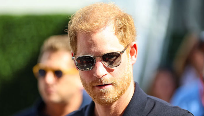 Prince Harry planned to sell meticulous notes from Queens death
