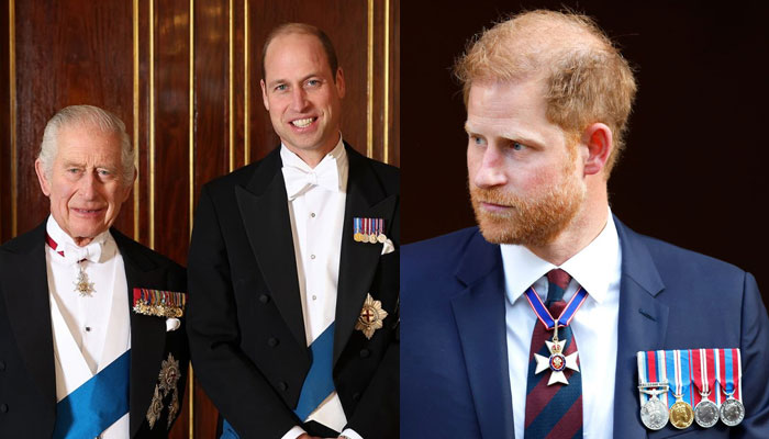 Prince Harry accused of operating from a place of hurt and trust issues