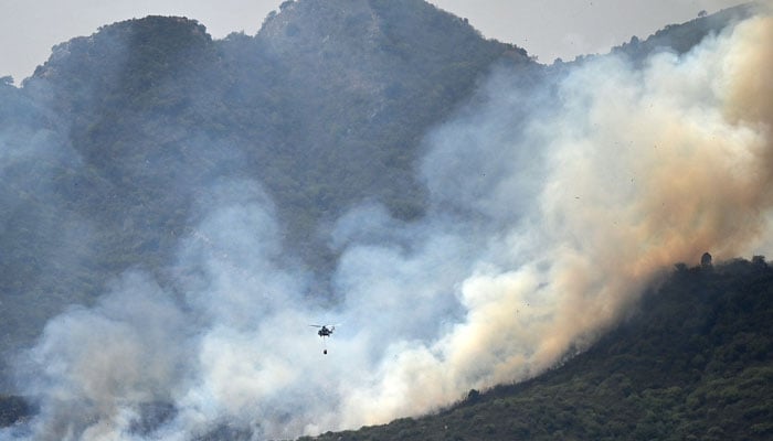 Three arrested for igniting forest fires in Islamabads Margalla Hills