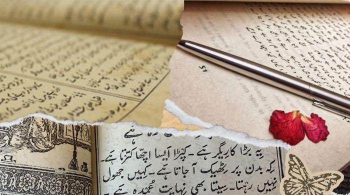 The roots we carry become whispers of identity