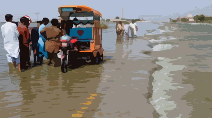 Any climate budget 'change' for Pakistan in FY25?