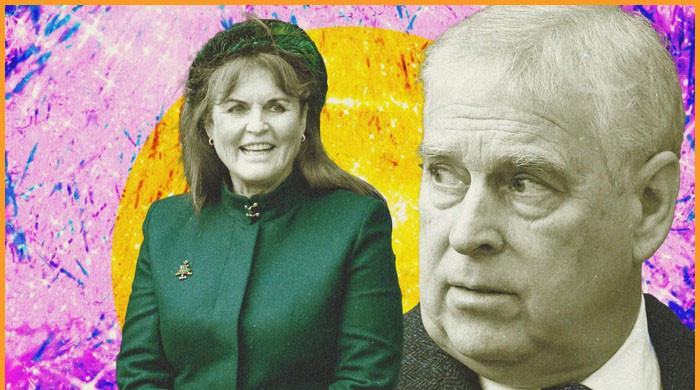 l 548311 043239 updates