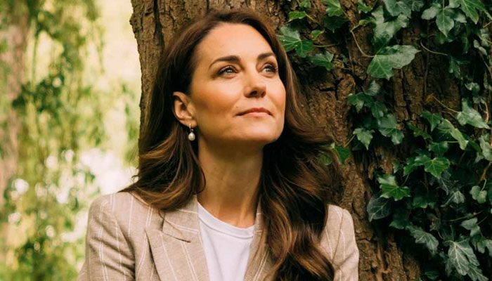 550176 2635771 updates