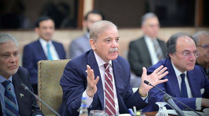 A different hundred days