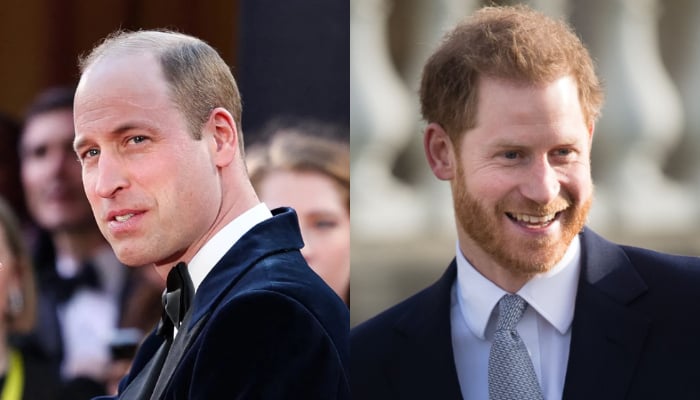 Prince Harry, Prince William disagree on what Princess Diana would say  about THIS