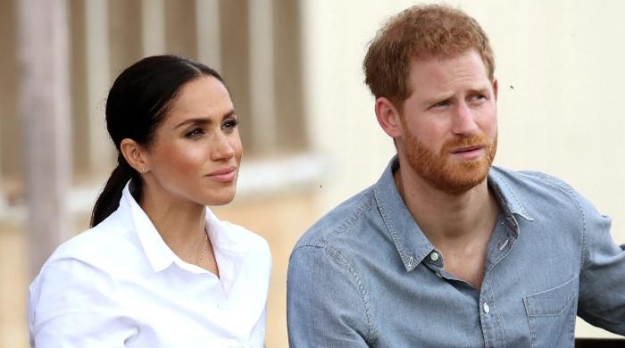 Prince Harry, Meghan fooling people as brand ambassadors of 'equality'