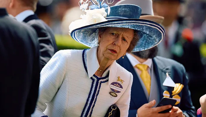 Princess Anne sparks fresh frenzy in U.K.