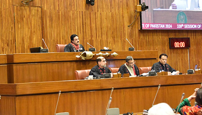 Senate deputy chairman Syedaal Khan Nasar chairs the session on June 24, 2024. — Facebook/@Pakistansenate