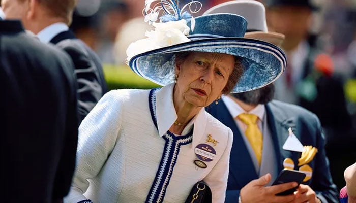 Princess Anne suffers memory loss after horse accident: Report