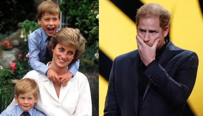 Prince Harry fights back trigger of talking about Dianas death