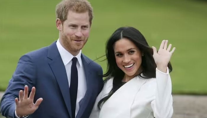 Prince Harrys treatment of Meghan Markle has been deemed a mistake by an expert
