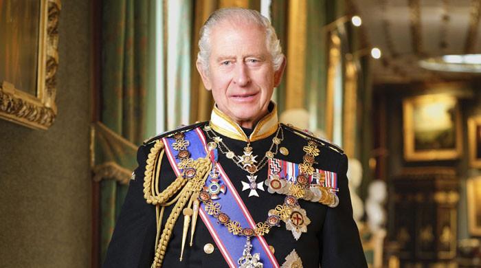 King Charles' new portrait fails to impress Royal fans