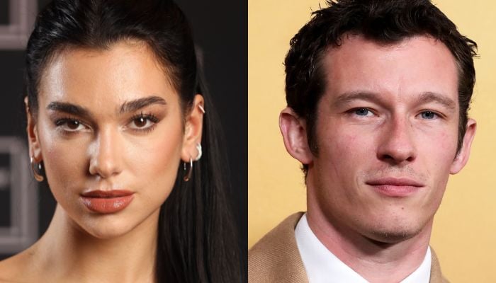 Dua Lipa gets beau Callum Turner support at Glastonbury amid miming claims