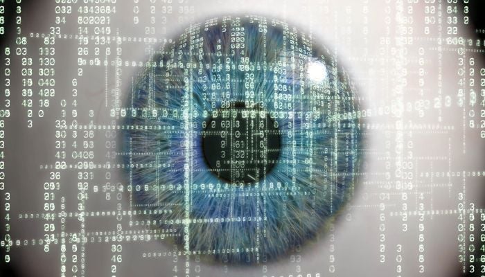 A representational image of data surveillance. — Canva