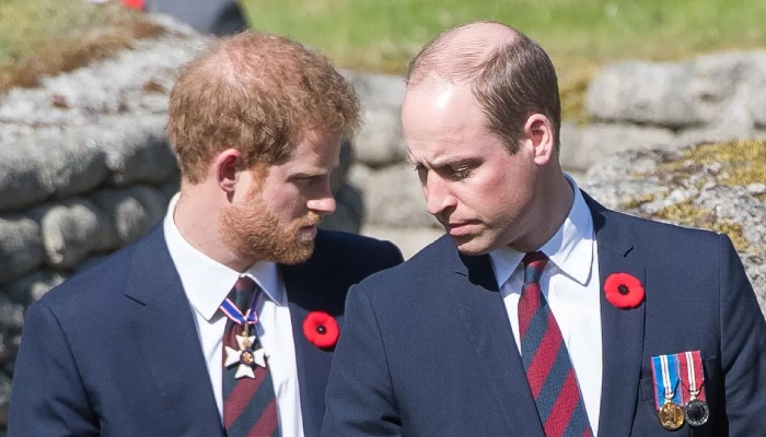 Prince William loves Harry but still won't forgive him; Here's why