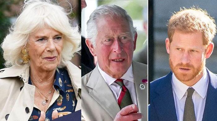 Queen Camilla becoming a wall between Prince Harry and King Charles