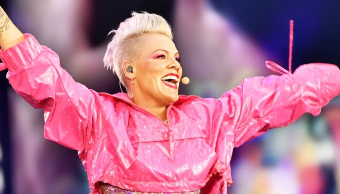 Pink saddens fans with health update: 'I am so sorry'